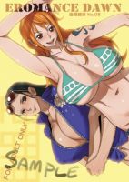 one_piece_nami_x_nico_robin_20110626_014.jpg
